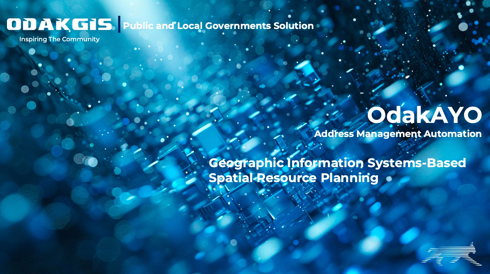 Address Management Automation Ekran Görüntü 1